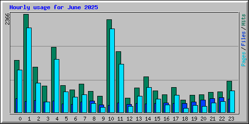 Hourly usage for June 2025