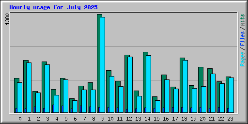 Hourly usage for July 2025