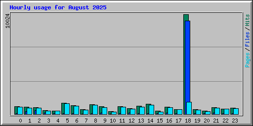 Hourly usage for August 2025