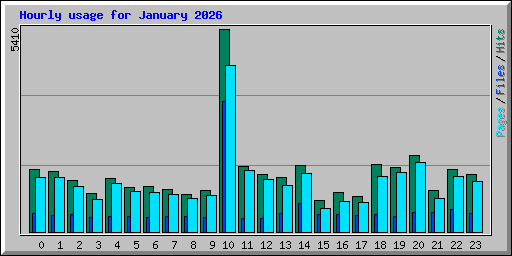 Hourly usage for January 2026