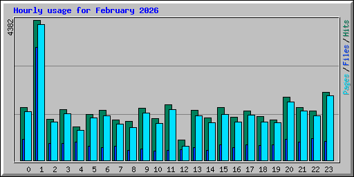 Hourly usage for February 2026